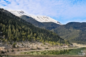 daglar-05